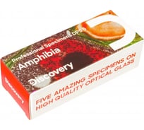 Набор микропрепаратов Levenhuk Discovery Prof DPS 5. «Амфибия» 78413