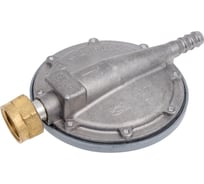 Регулятор давления ОАО "НЗГА" РДСГ 1-1.2 НЗ 31.00.00-04