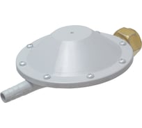 Регулятор давления BlackWeld РДСГ 1-1.2 111501