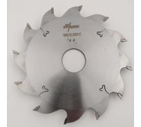 Пильный диск пазовый RED SAMURAI 150x30x3.0/2.2 z12 FZ TPRS0001893