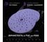 Абразивные круги 150 мм CERAMAX PURPLE PAPER, multiholes P500, 50 шт. 1CRX1059 3