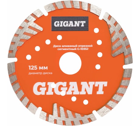 Диск алмазный отрезной сегментный с защитными сект, 125x22,2 мм сухая резка Gigant G-10352