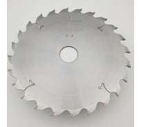 Пильный диск RED SAMURAI Economic 200x30x2,5/1,6, z24 WZ TPRS0002116