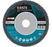 Лепестковый шлифовальный диск OASIS 125x22.2 мм, P100, 10 шт в упак 102060500007