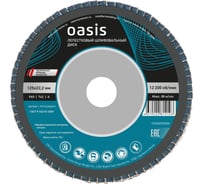 Лепестковый шлифовальный диск OASIS 125x22.2 мм, P60, 10 шт в упак 102060500006