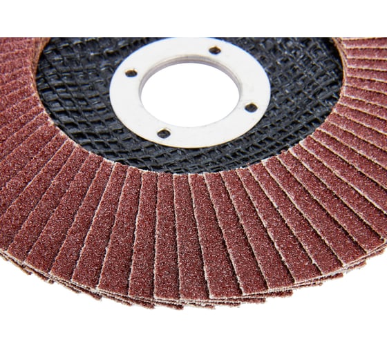 Диск лепестковый Elitech ф125x22.2мм,P80 1820.174700 205582