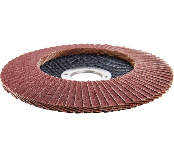 Диск лепестковый Elitech ф125x22.2мм,P80 1820.174700 205582