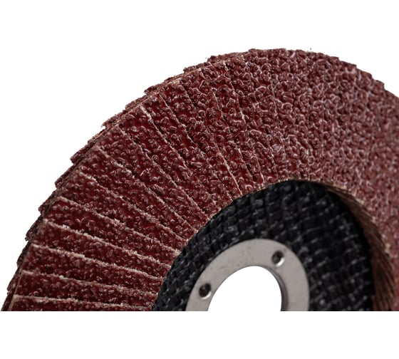 Диск лепестковый Elitech ф125x22.2мм,P36 1820.174400 205579