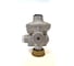 Регулятор давления газа Cavagna Group RF-25 G-образный MESURA 07R1350147 9