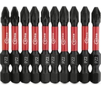 Набор бит WORB PZ2, 10 шт. 2000502N10