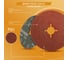 Шлиф диск на фибровой основе Abraforce Brown 125x22мм, Р50, со шлицами AFBRF12522X050 6