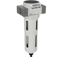 Фильтр PI TOOLS PIT-MINI 1/4 5872