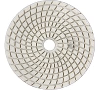 Алмазный круг Elitech 100мм P3000 1820.158600 204927