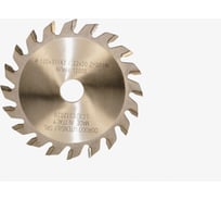 Диск пильный Dorigo подрезной 120x3.1-4.3/2.2x20 Z=20 LC120312020