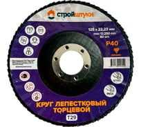 Круг лепестковый Стройштуки 125 мм, Р40, Т29 фиолетовый чашка УТ-00039727