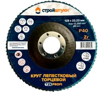 Круг лепестковый Стройштуки 125 мм, Р40, Т29 PROFI синий чашка УТ-00039723
