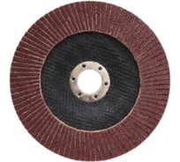 Круг лепестковый BlackWeld КЛТ 150x22 А80 TS (10 шт) 120672bw