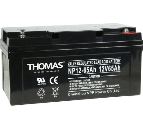 Аккумуляторная батарея THOMAS GB 12-65 Ah GB12-65 GB12-65(Thomas)