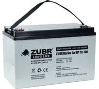 Аккумуляторная батарея ZUBR Marine Gel NP 12V 100Ah, Китай NPG12-100(MK-Energy)