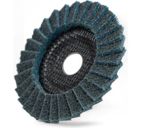 Круг лепестковый из нетканого материала TOTFLEX 125x22 2 FINE 4631176774981