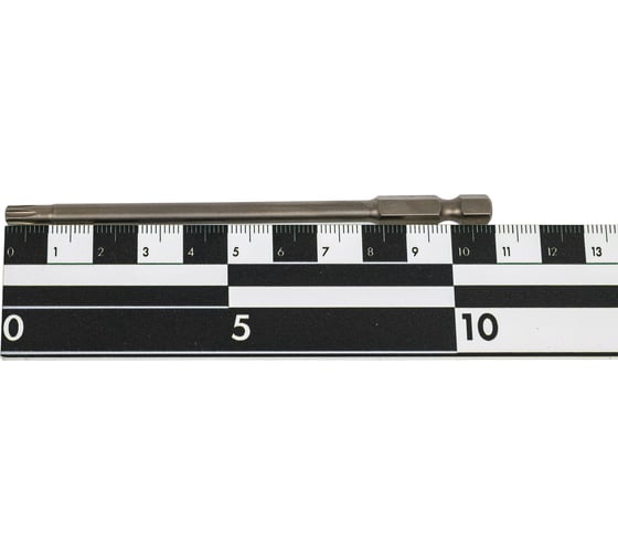 Бита SGS TORX T25, 110мм S2 1шт 63110-T25