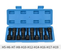 Набор головок ударных удлиненных Vitatools 1/2DR, 10 шт nabor-udarnyh-tortsevyh-golovok-10