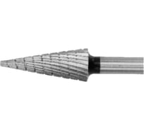 Бор-фреза HSS форма M 1230.06, тип заточки 3 ATORN 76001313