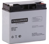 Батарея аккумуляторная свинцово-кислотная герметизированная (12 В; 18 Ач) CHALLENGER AS12-18