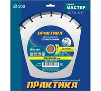 Диск алмазный сегментный Мастер (300x25.4/20 мм) ПРАКТИКА 794-777