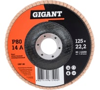 Круг лепестковый торцевой 125x22,2 10 шт Gigant GRF-80-10