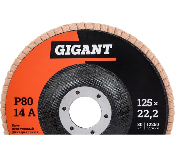 Круг лепестковый торцевой 125x22,2 10 шт Gigant GRF-80-10