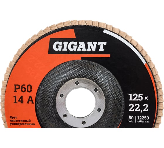 Круг лепестковый торцевой 10 шт 125x22,2 Gigant GRF-60-10