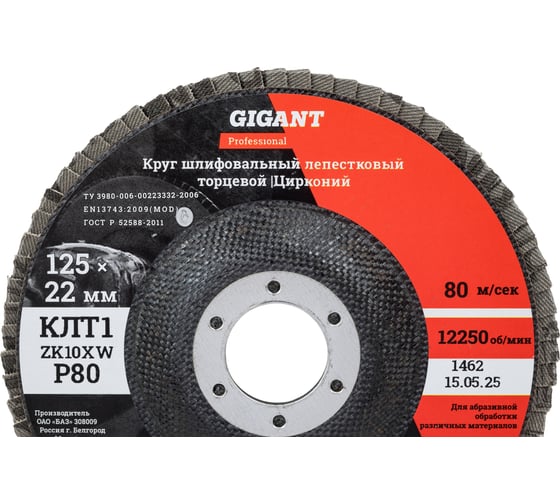 Круг лепестковый 125x22,2 мм; P80; цирконий, 10 шт Gigant Professional GNT-P80-10