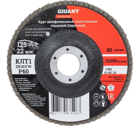 Круг лепестковый 125x22,2 мм; P60; цирконий, 10 шт Gigant Professional GNT-P60-10