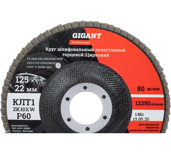 Круг лепестковый 125x22,2 мм; P60; цирконий, 10 шт Gigant Professional GNT-P60-10
