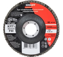 Круг лепестковый 125x22,2 мм; P40; цирконий, 10 шт Gigant Professional GNT-P40-10