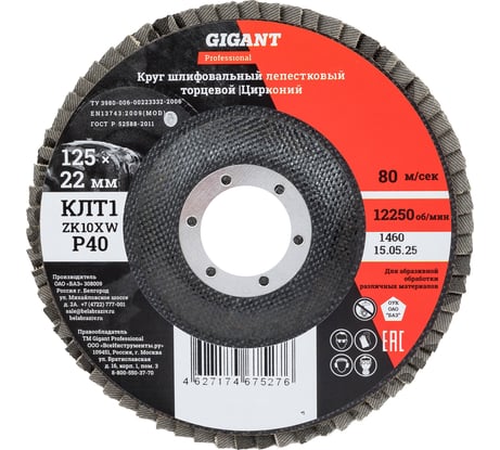 Круг лепестковый 125x22,2 мм; P40; цирконий, 10 шт Gigant Professional GNT-P40-10