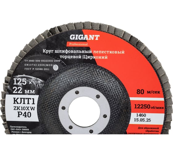 Круг лепестковый 125x22,2 мм; P40; цирконий, 10 шт Gigant Professional GNT-P40-10