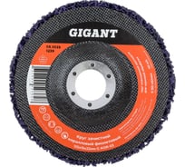 Диск абразивный коралловый фиолетовый 125х22 мм, 5 шт Gigant G-KOR-03-5