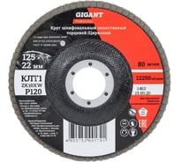 Круг лепестковый 125x22,2 мм; P120; цирконий, 10 шт Gigant Professional GNT-P120-10