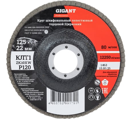 Круг лепестковый 125x22,2 мм; P120; цирконий, 10 шт Gigant Professional GNT-P120-10