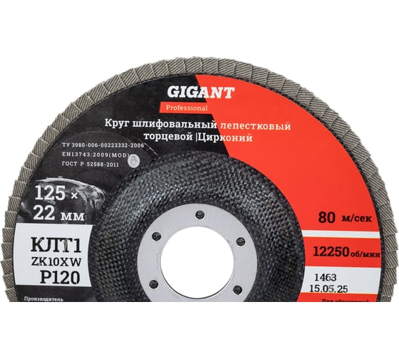 Круг лепестковый 125x22,2 мм; P120; цирконий, 10 шт Gigant Professional GNT-P120-10