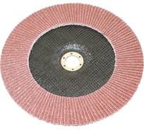 Круг TLX КЛТ1 230x22,2 14А Р 40 №40 SA28003 75248