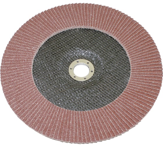 Круг TLX КЛТ1 230x22,2 14А Р 60 №25 SA28003 75249 1