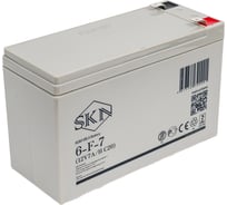 Аккумуляторная батарея 6-F-7 (12V7A/H C20) SKN 0000014