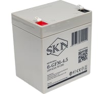 Аккумулятор для ИБП SKN 6-GFM-4.5 (12V4.5A/H C20) 025252