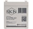 Аккумуляторная батарея SKN 6-GFM-4.5 (12V4.5A/H C20) 0000016 6