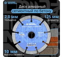 Диск алмазный сегментный (125 х 10 х 22,2 мм по бетону, кирпичу, камню) Diamond Industrial DIDS125