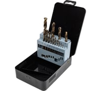 Набор сверл по металлу ООО «РЕСТ-ИНВЕСТ» Р6М5К5, 1-10 мм, 15 штук 1002