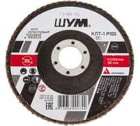 Круг зачистной лепестковый торцевой ШУМ КЛТ-1, диаметр 125мм, электрокорунд марки А, зернистость Р100 (30 шт) 112522110